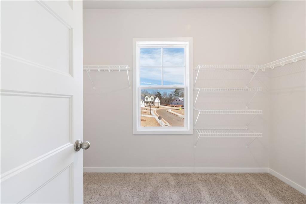 357 Scarlet Rose Way Hoschton, GA 30548 - Photo 22 of 125