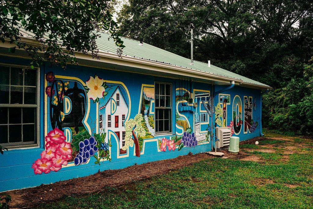 357 Scarlet Rose Way Hoschton, GA 30548 - Photo 74 of 125