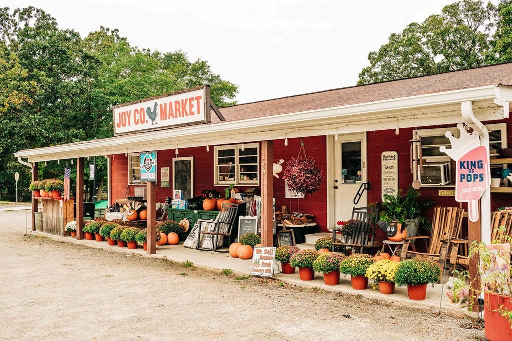 357 Scarlet Rose Way Hoschton, GA 30548 - Photo 79 of 125