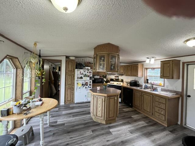 7136 Tannery Road, Unit 19 Two Rivers, WI 54241 - Photo 11 of 21 Kitchen