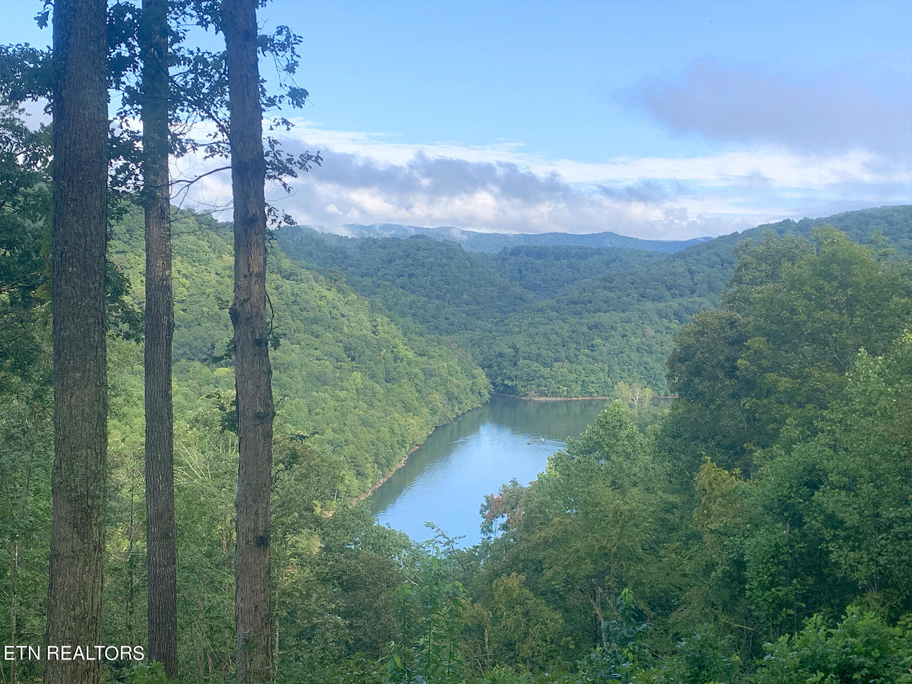 2581 Locust Grove Road New Tazewell, TN 37825 - Photo 1 of 10 pic1