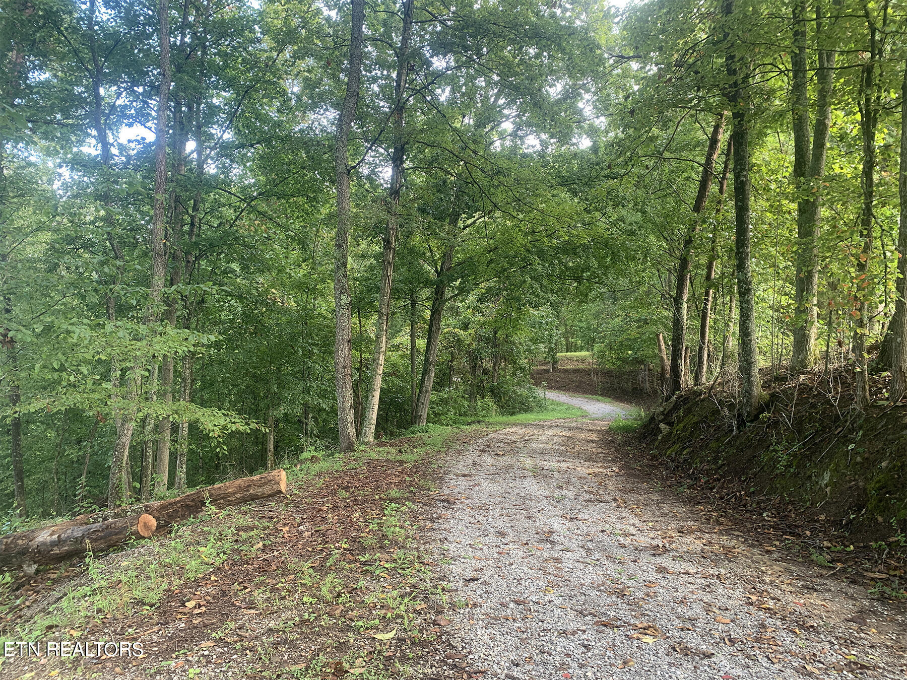2581 Locust Grove Road New Tazewell, TN 37825 - Photo 10 of 10 pic10