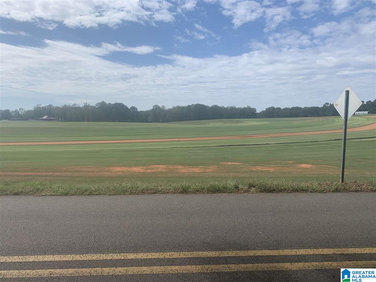 0 Old Lokey Ferry Road, Unit 1 Wilsonville, AL 35186 - Photo 2 of 2