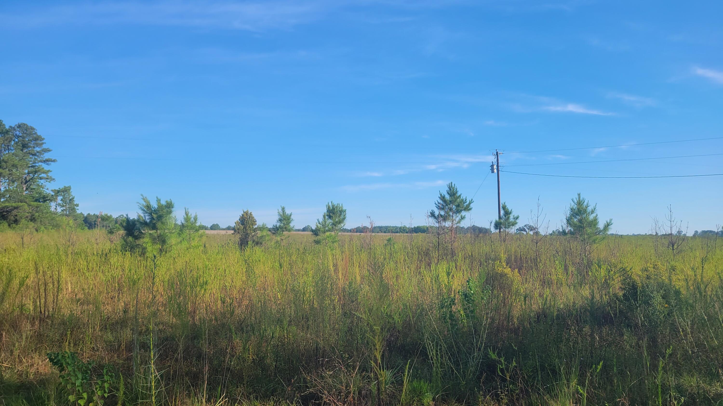 John Brewer Road Deridder, LA 70634 - Photo 1 of 1 Gallery Image 1