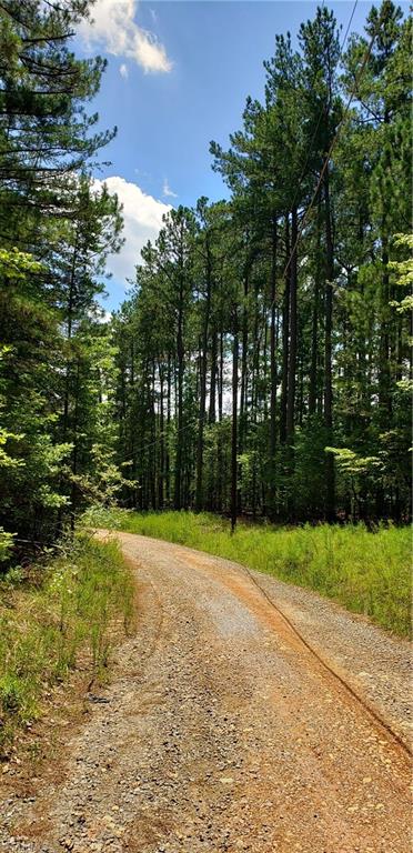 7820 McGee Road Rural Hall, NC 27045 - Photo 1 of 5 McGee Rd. private section looking north