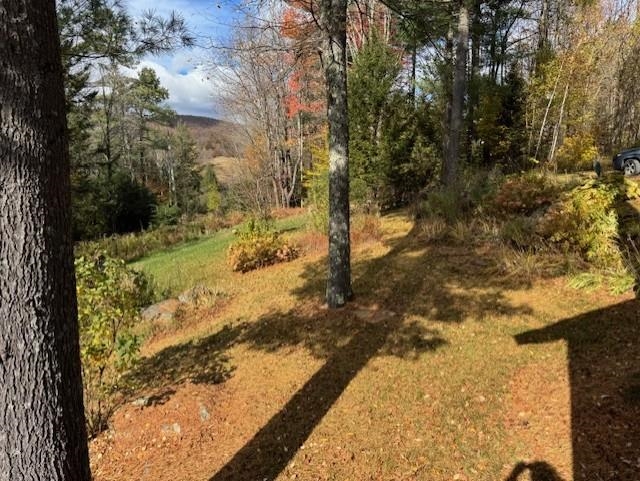 1856 Gibou Road Montgomery, VT 05471 - Photo 18 of 23