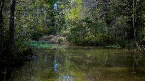 a view of a lake from a yard