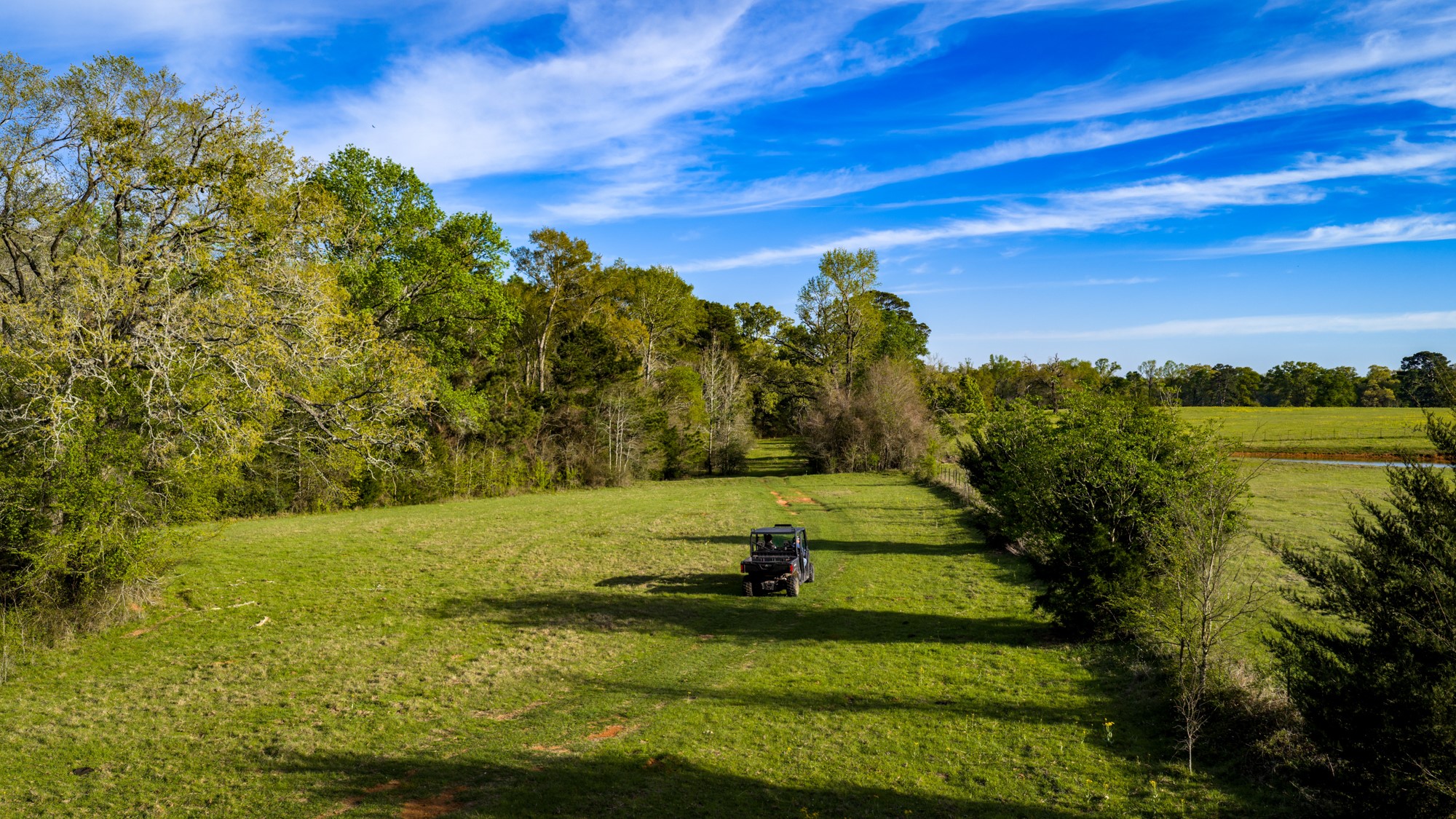 3773 Highway 7 Crockett, TX 75835 - Photo 12 of 35 a view of a yard with an trees