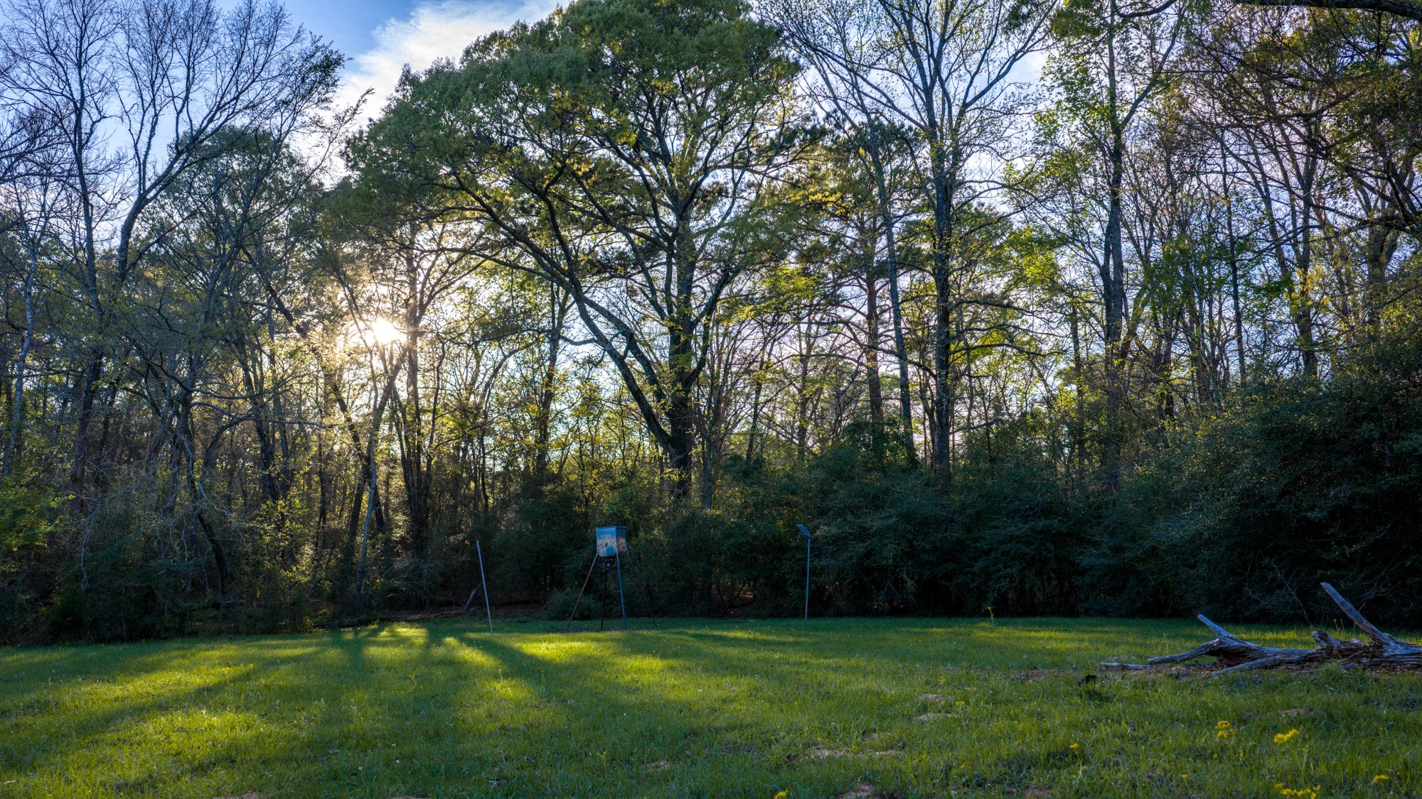 3773 Highway 7 Crockett, TX 75835 - Photo 16 of 35 a view of a field with a tree
