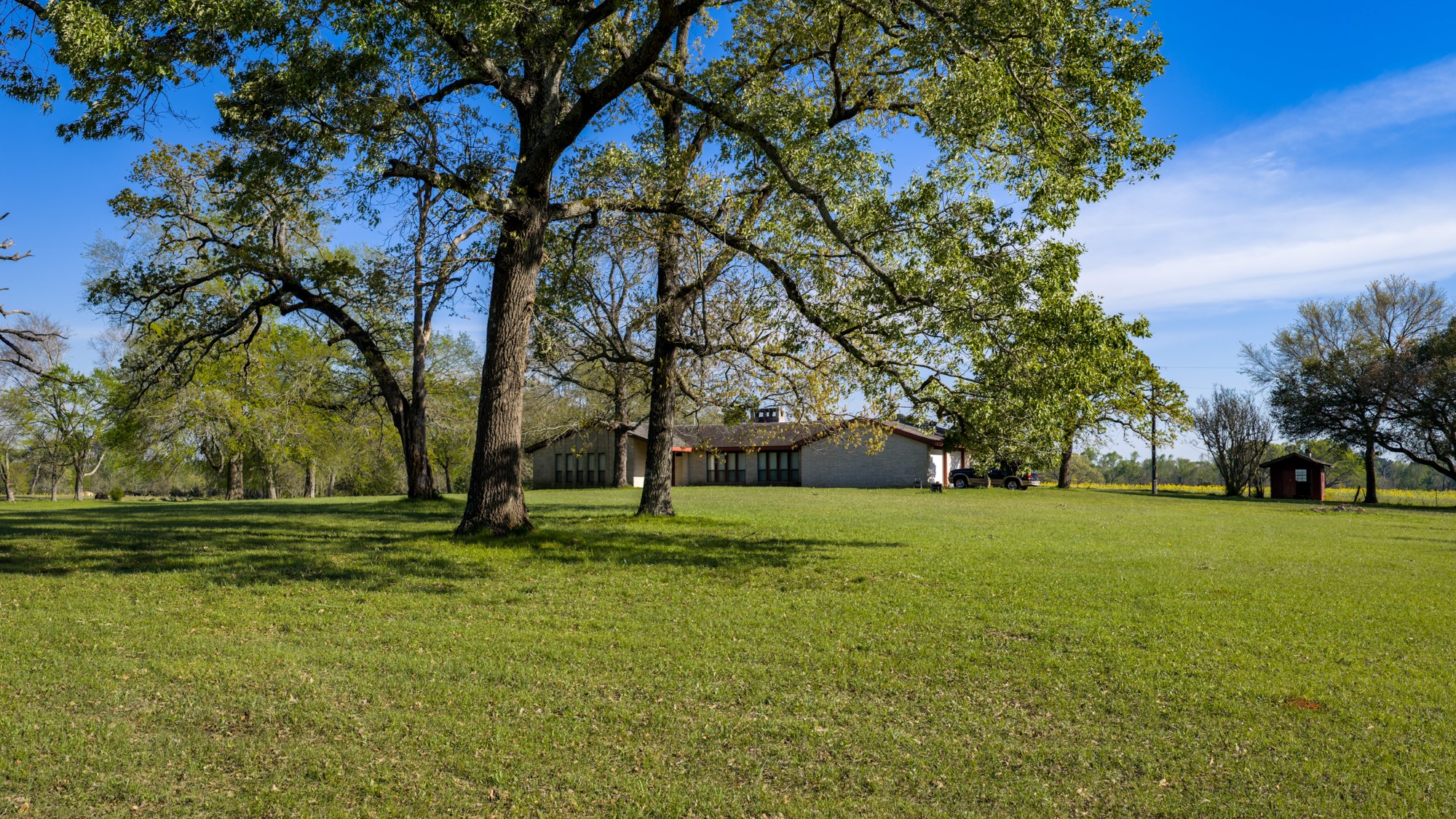 3773 Highway 7 Crockett, TX 75835 - Photo 19 of 35 a big yard with trees in the background