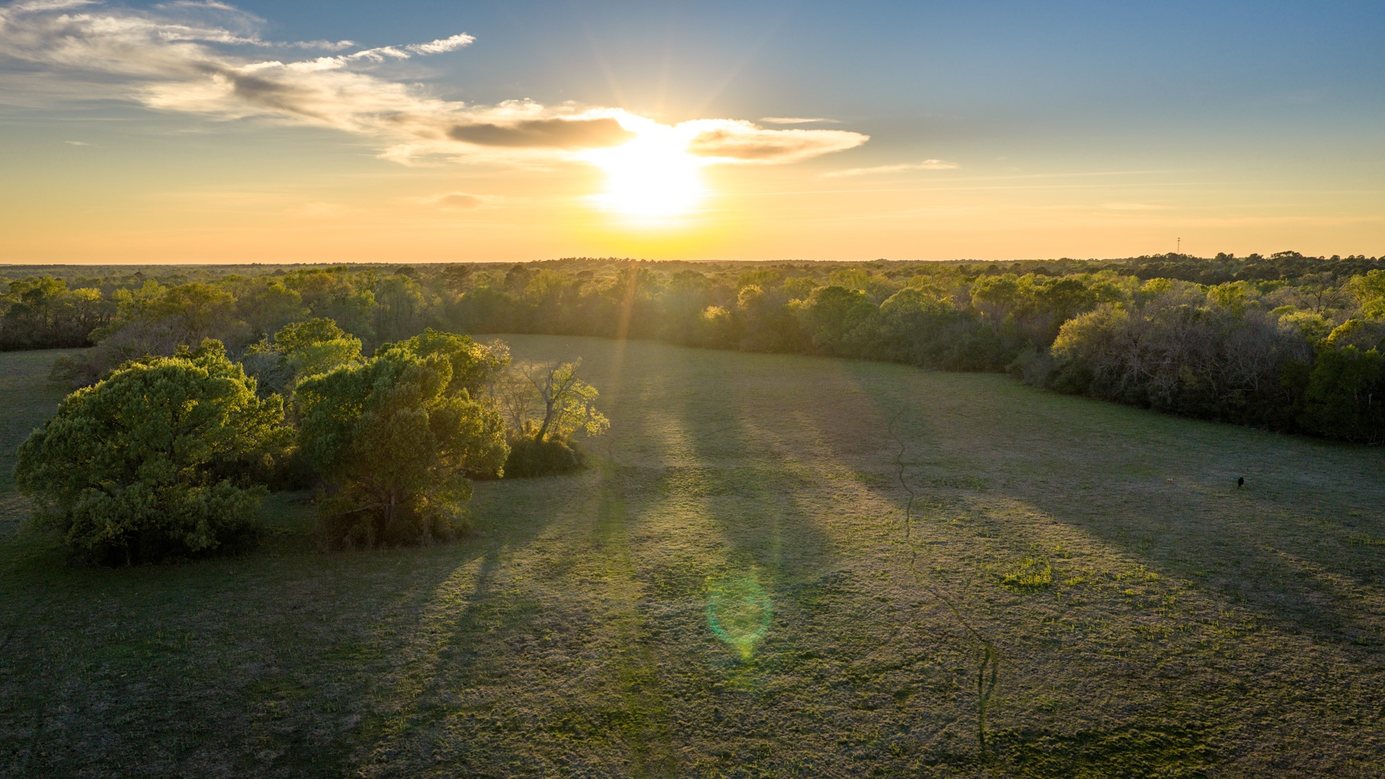 3773 Highway 7 Crockett, TX 75835 - Photo 21 of 35 a view of an ocean