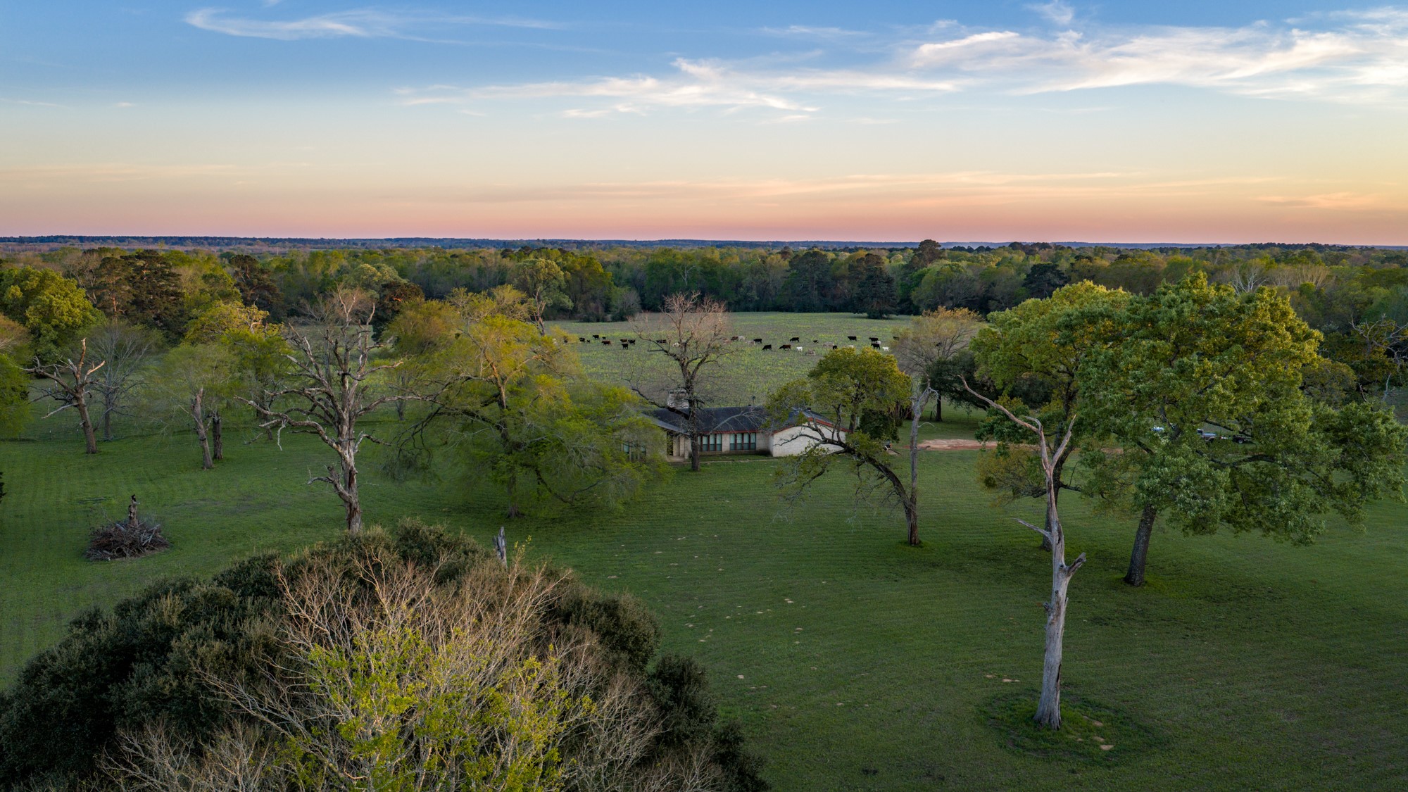 3773 Highway 7 Crockett, TX 75835 - Photo 26 of 35 a view of a garden with a building in back