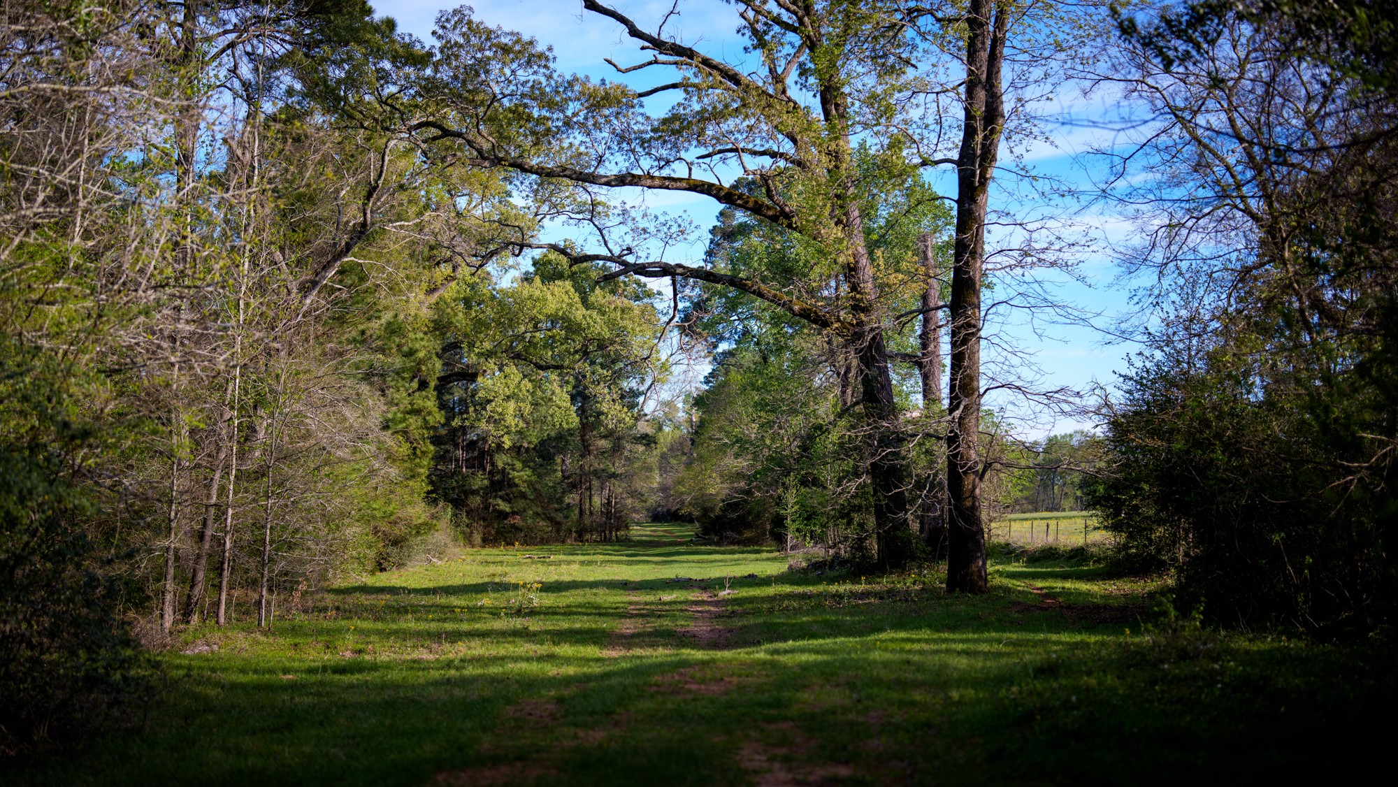 3773 Highway 7 Crockett, TX 75835 - Photo 9 of 35 a view of a park