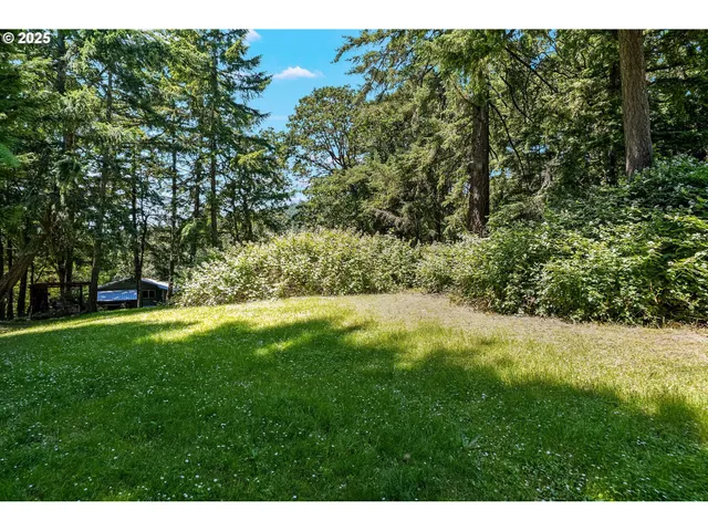 a view of a yard with a tree
