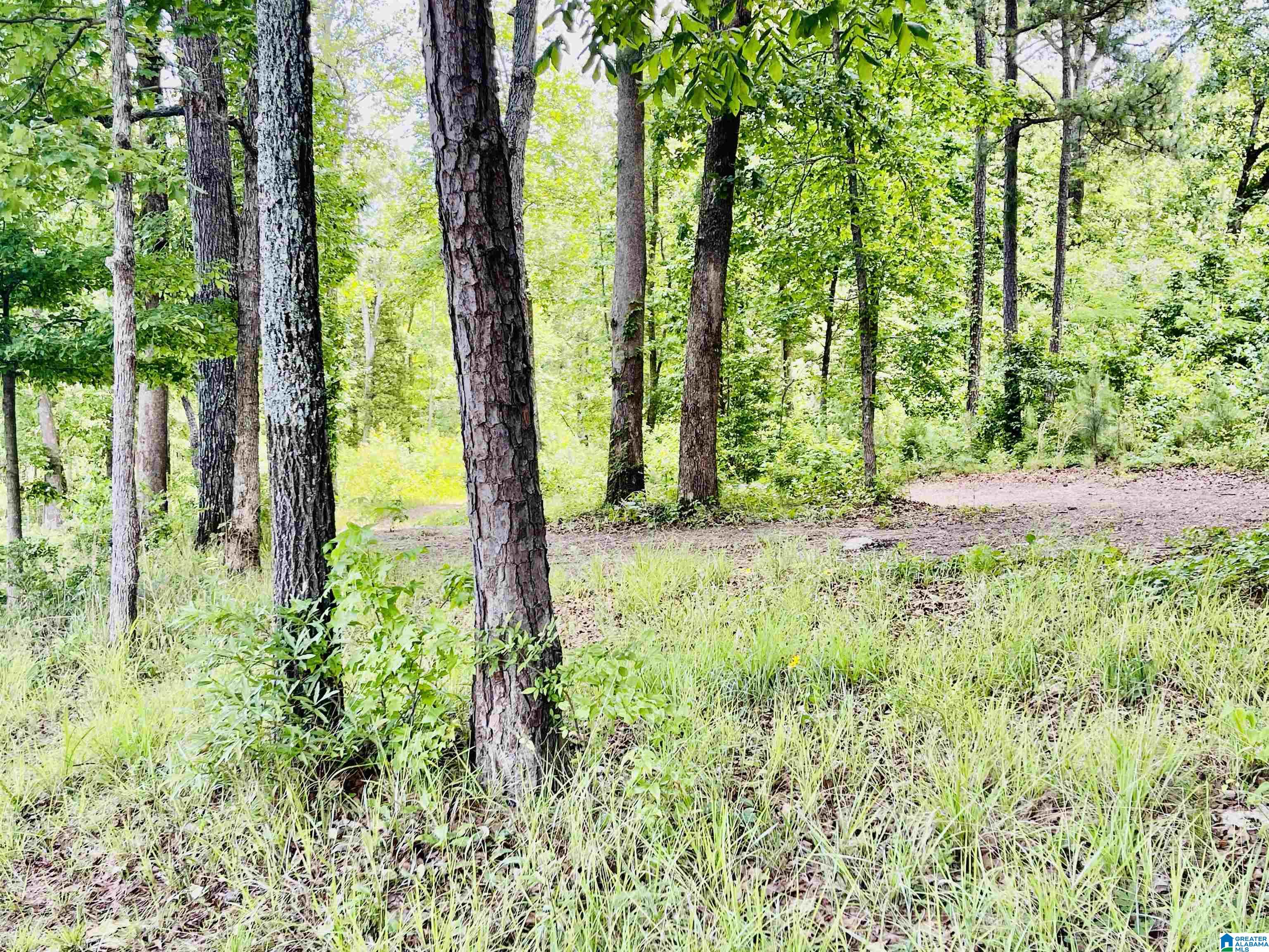 595 Willingham Road, Unit 595 Talladega, AL 35160 - Photo 7 of 23