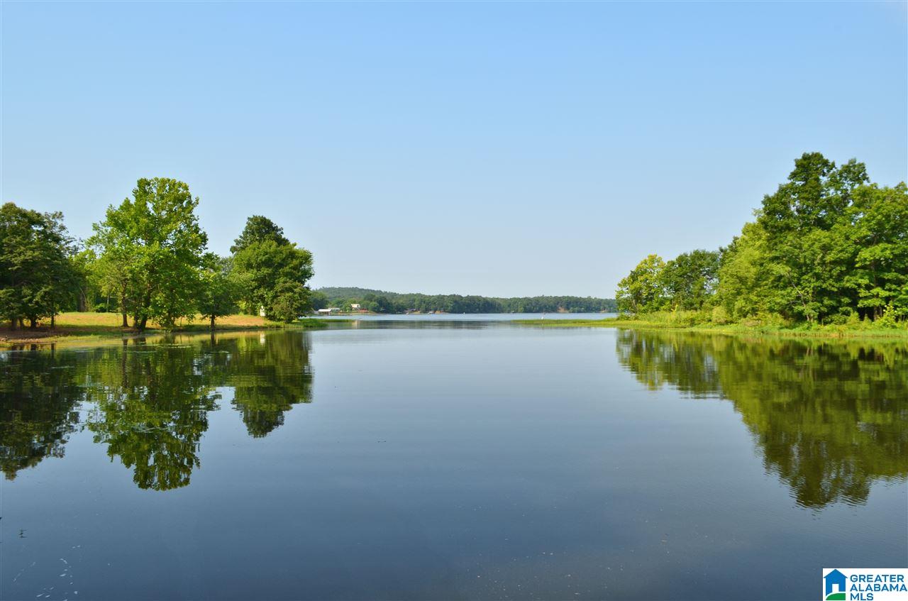 4683 Mcgowans Ferry Road Childersburg, AL 35044 - Photo 4 of 46