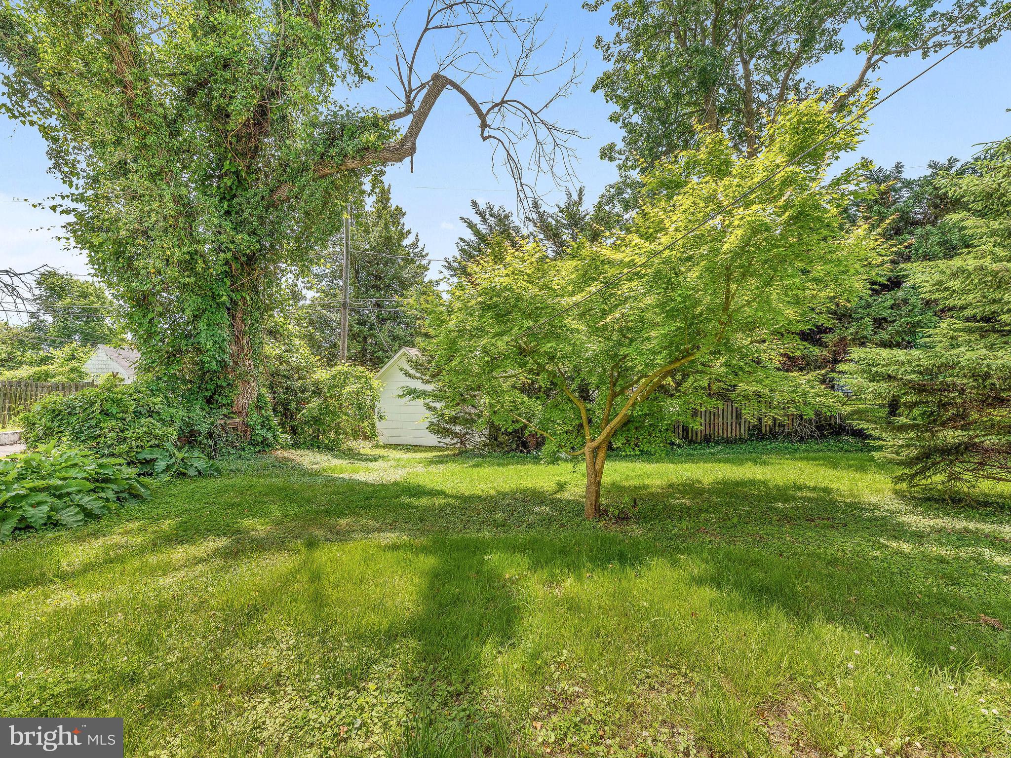 4203 Fordham Road Baltimore, MD 21229 - Photo 35 of 36 Level rear yard