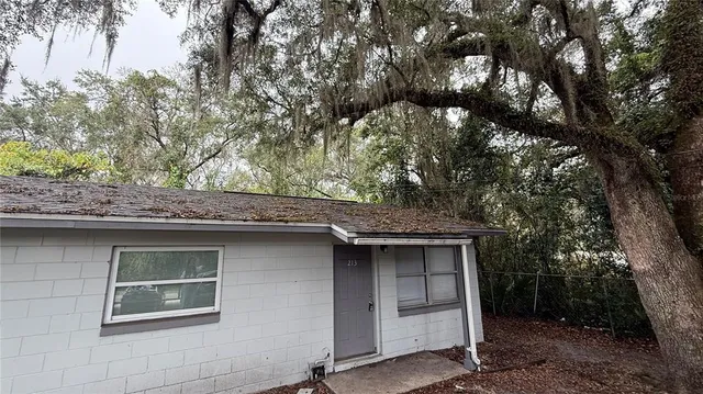 $950 | 213 Doctor Martin Luther King Junior Avenue, Wildwood, FL 34785
