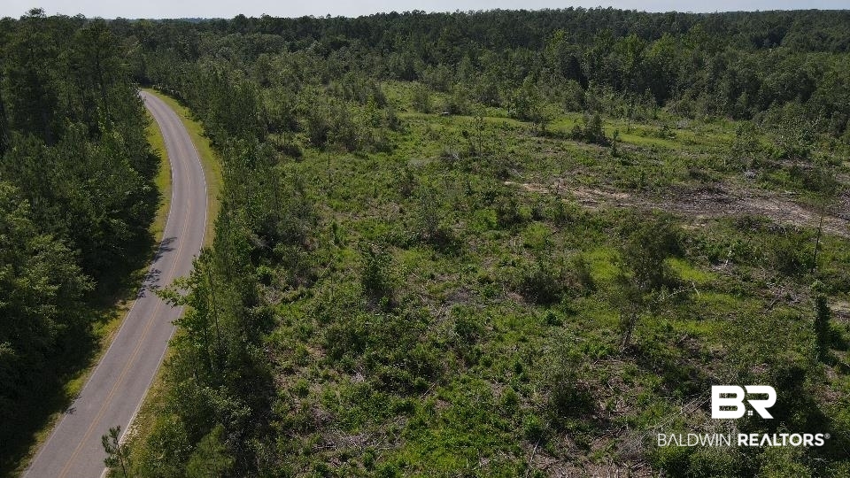 Hoyle Bryars Road Perdido, AL 36562 - Photo 10 of 12 Gallery Image 10