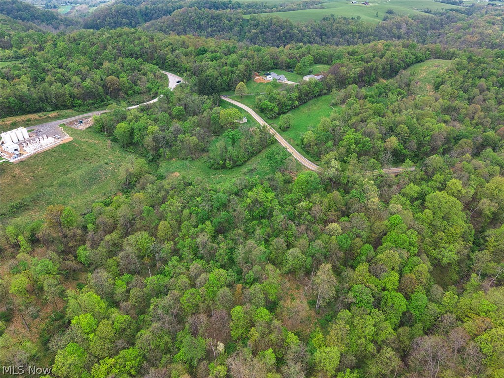 0 Bealls Ridge Wellsburg, WV 26070 - Photo 15 of 46