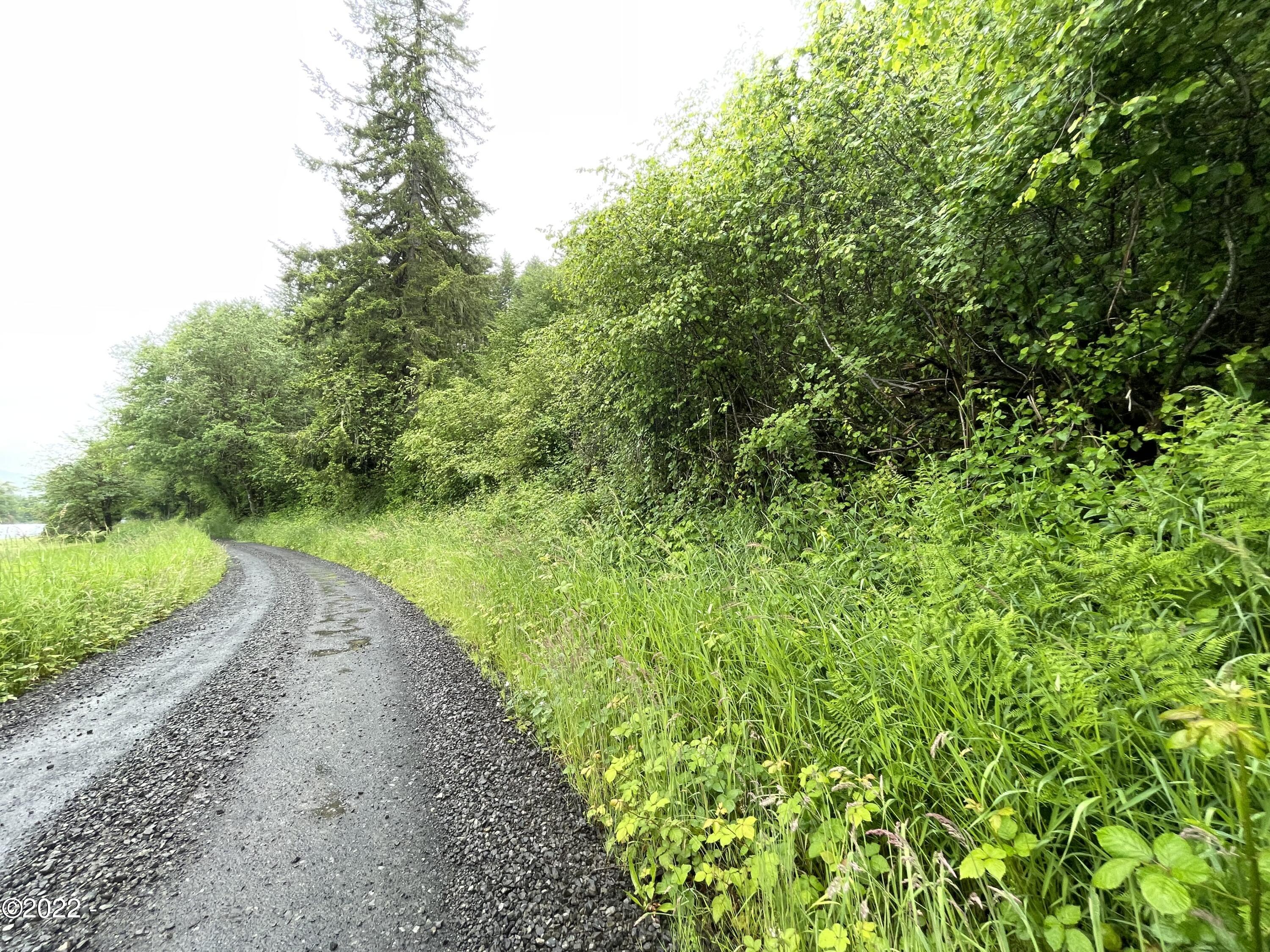 410 Mill Creek Road Toledo, OR 97391 - Photo 5 of 10 Lot from Mill Creek Rd