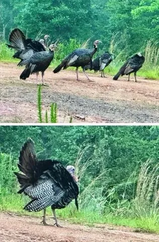 $239,500 | 150 Cheyenne Lane, Andrews, NC 28901