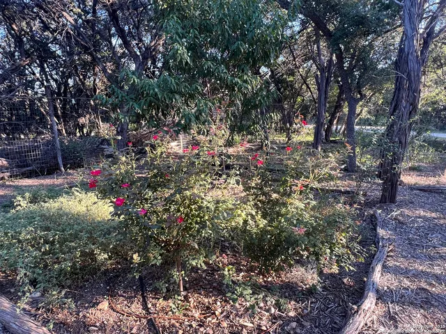 $260,000 | 314 Harbour Way, Lakehills, TX 78063