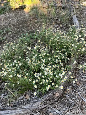 $260,000 | 314 Harbour Way, Lakehills, TX 78063