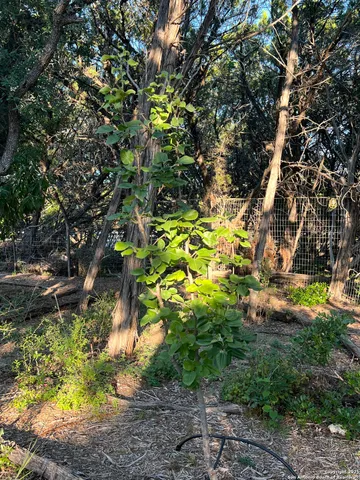 $260,000 | 314 Harbour Way, Lakehills, TX 78063