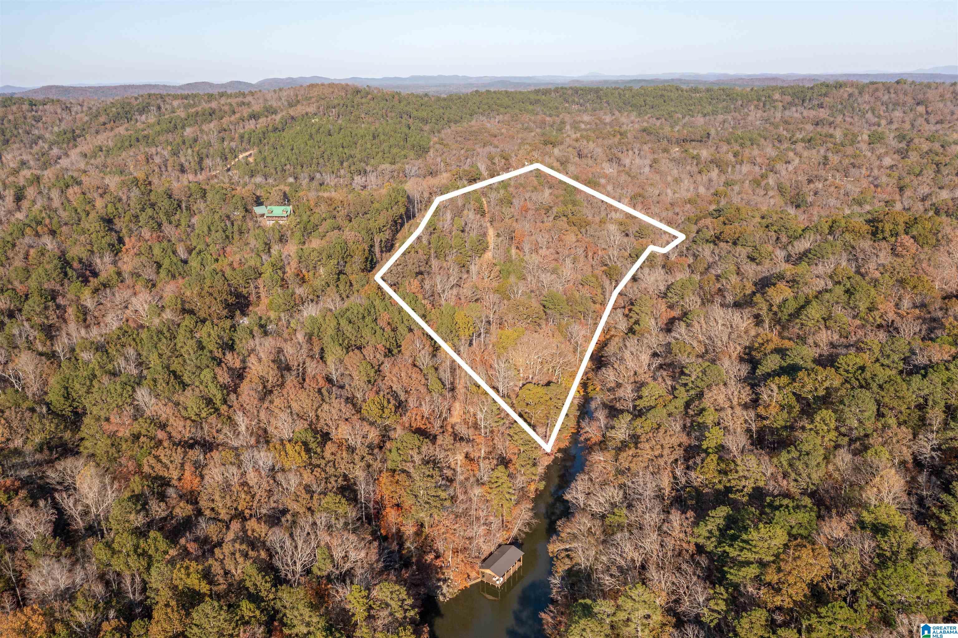 1595 Mohawk Cliff Road Ohatchee, AL 36271 - Photo 40 of 65