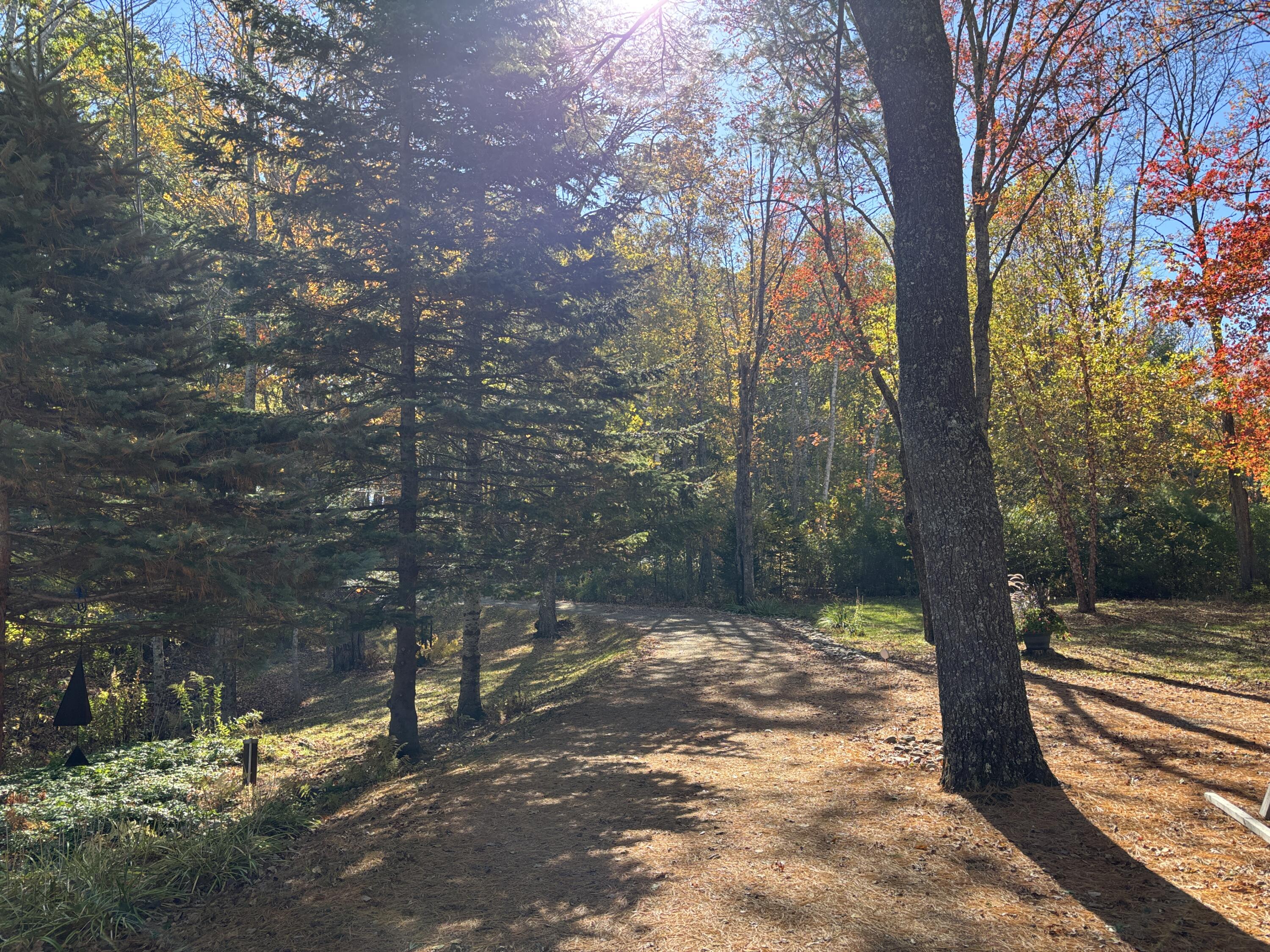 5 Morrison Road Round Pond, ME 04564 - Photo 35 of 46 Yard