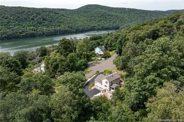 an aerial view of green landscape with trees houses and lake view