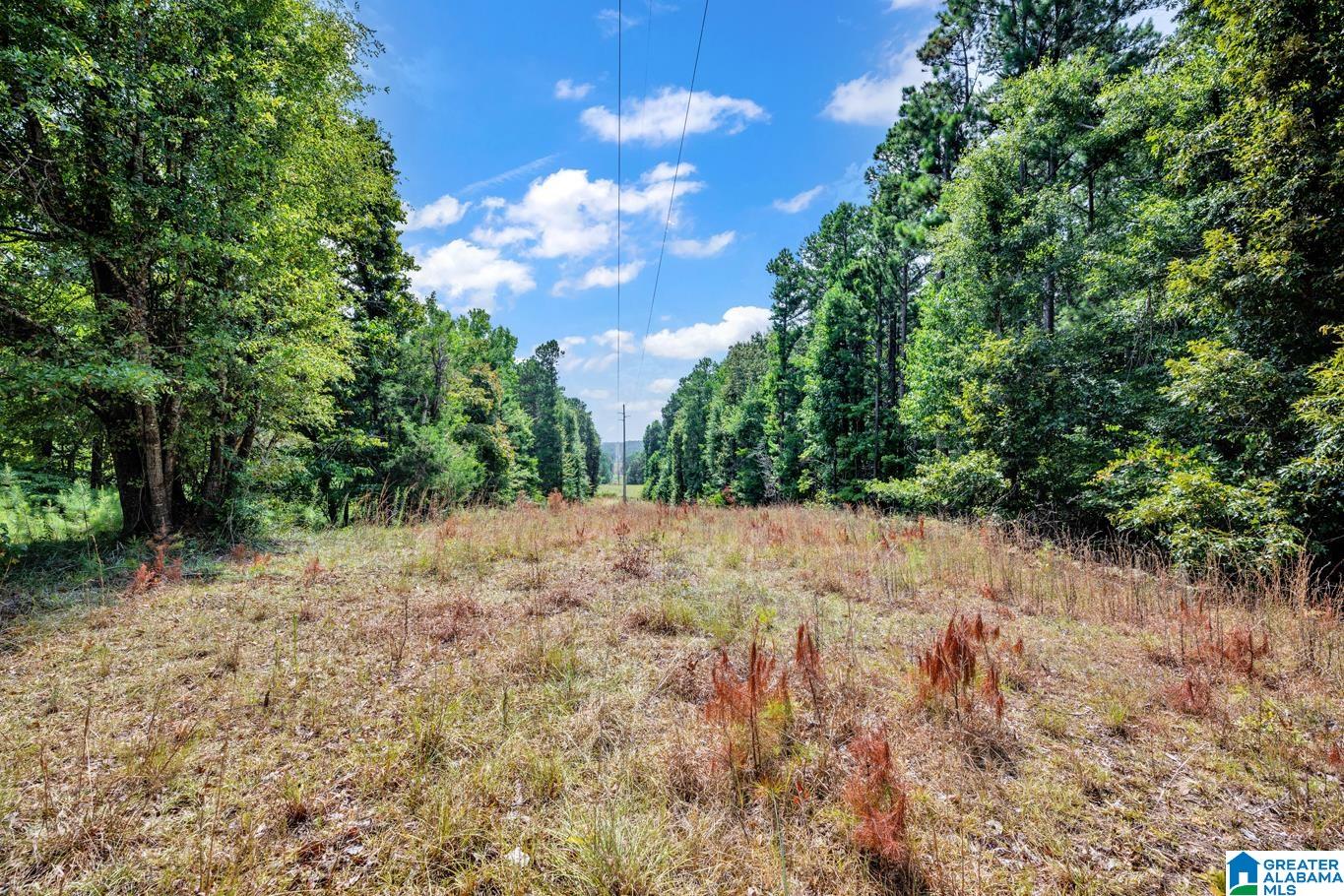 587 Mountain Drive Remlap, AL 35133 - Photo 26 of 34