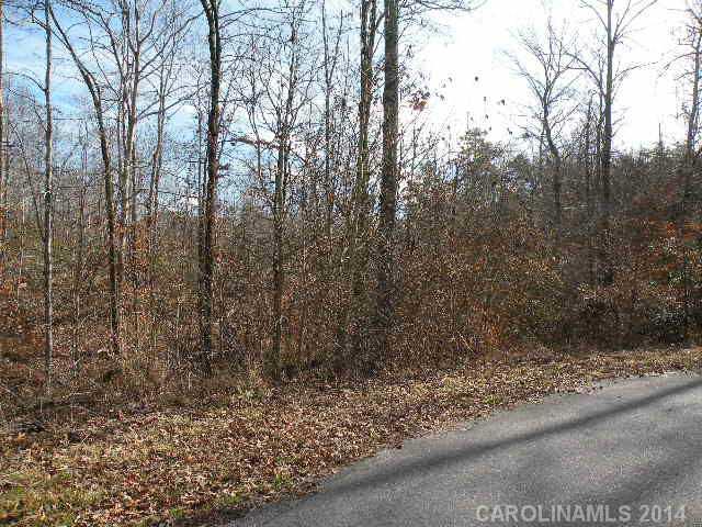 Lot 7 McKee Road, Unit 7 Fort Mill, SC 29708 - Photo 11 of 16