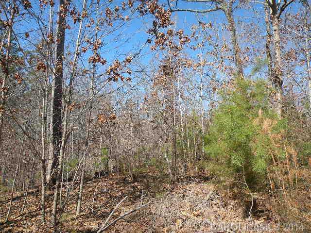 Lot 7 McKee Road, Unit 7 Fort Mill, SC 29708 - Photo 9 of 16