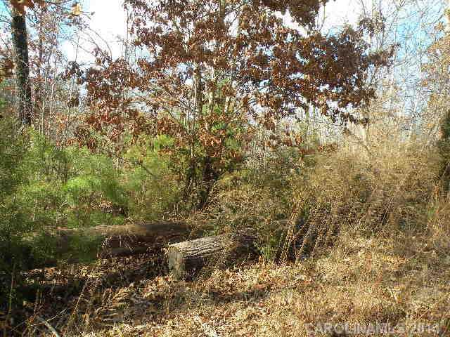 Lot 7 McKee Road, Unit 7 Fort Mill, SC 29708 - Photo 10 of 16