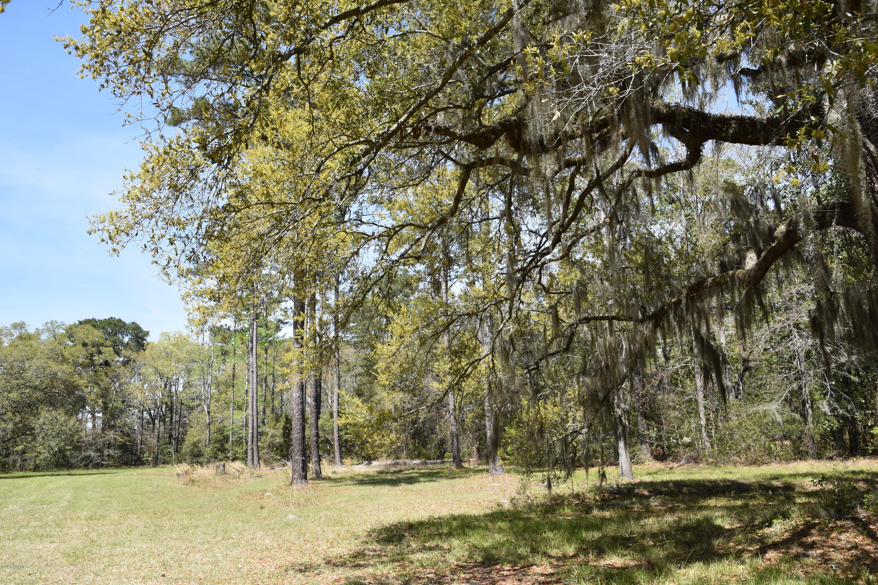 64 Jasmine Hall Road Seabrook, SC 29940 - Photo 1 of 10 DSC_0542