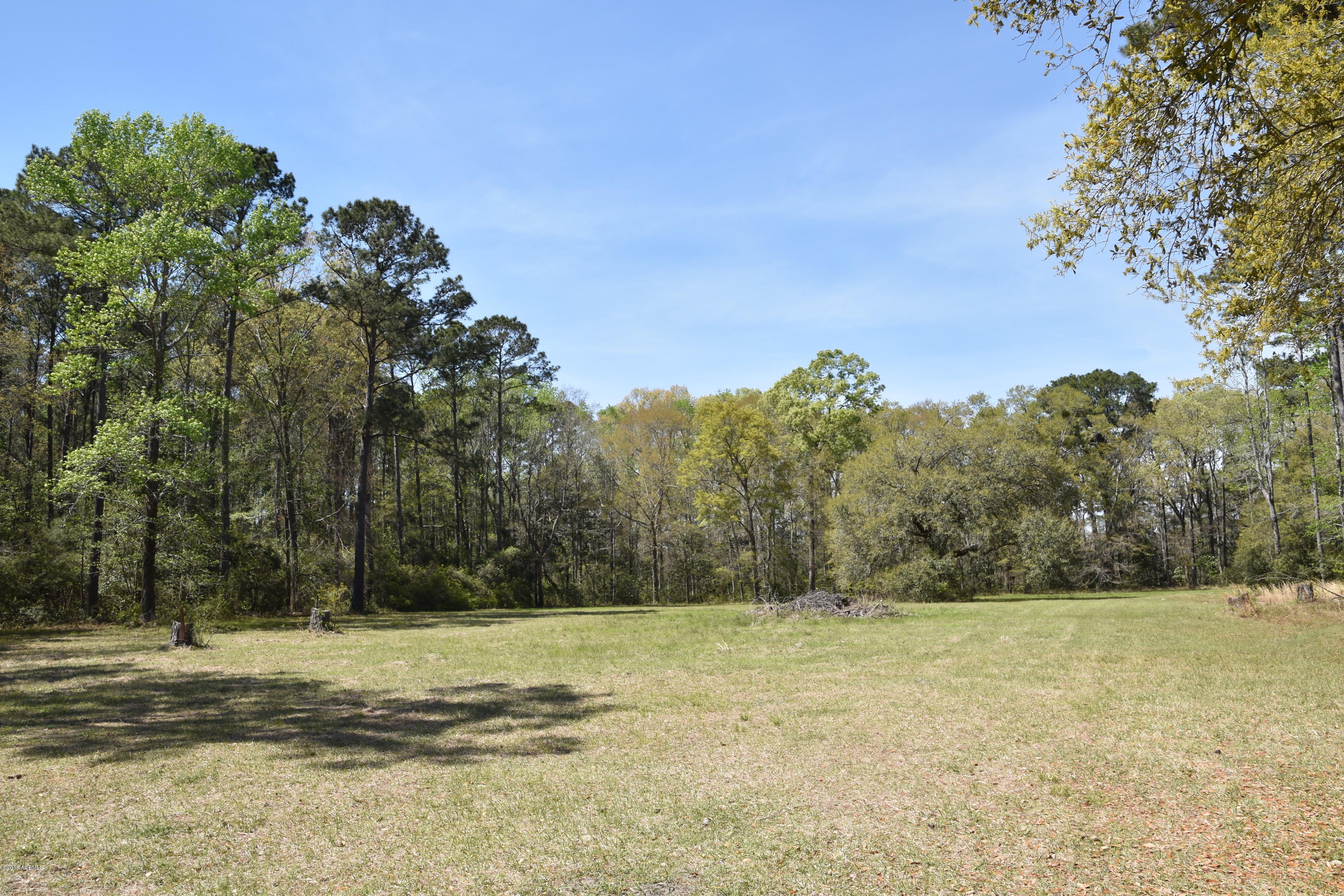 64 Jasmine Hall Road Seabrook, SC 29940 - Photo 2 of 10 DSC_0539