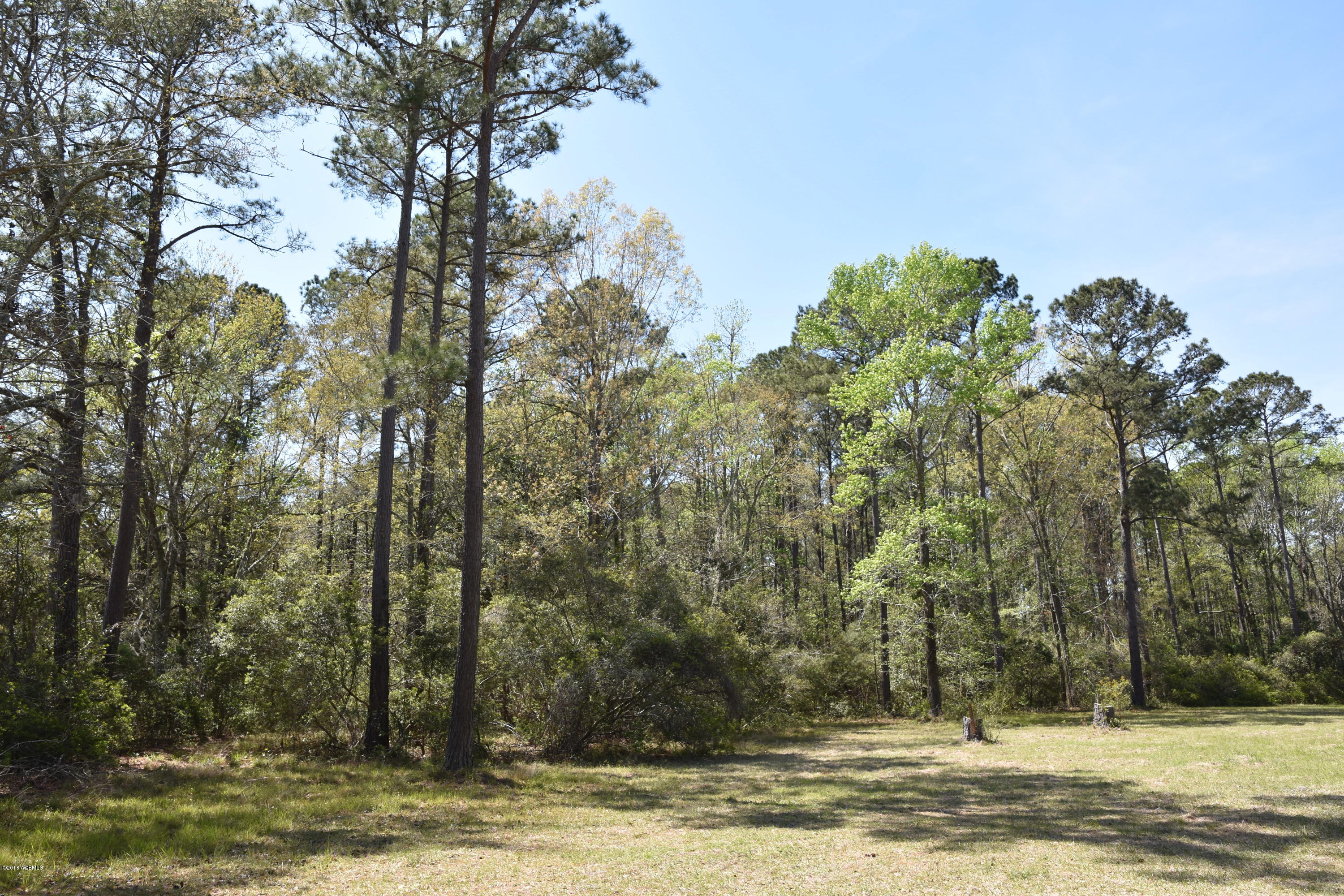 64 Jasmine Hall Road Seabrook, SC 29940 - Photo 3 of 10 DSC_0540