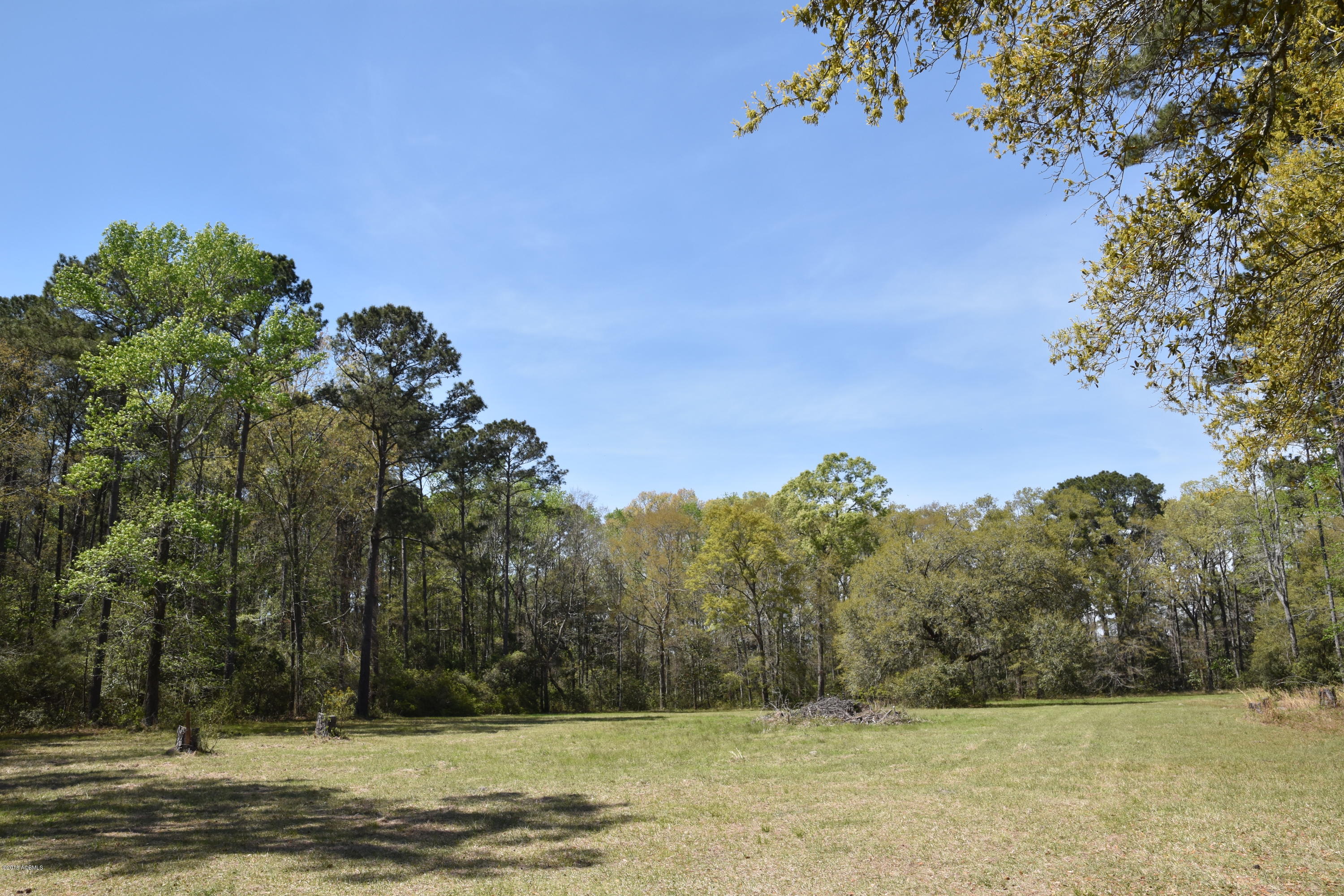 64 Jasmine Hall Road Seabrook, SC 29940 - Photo 4 of 10 DSC_0541