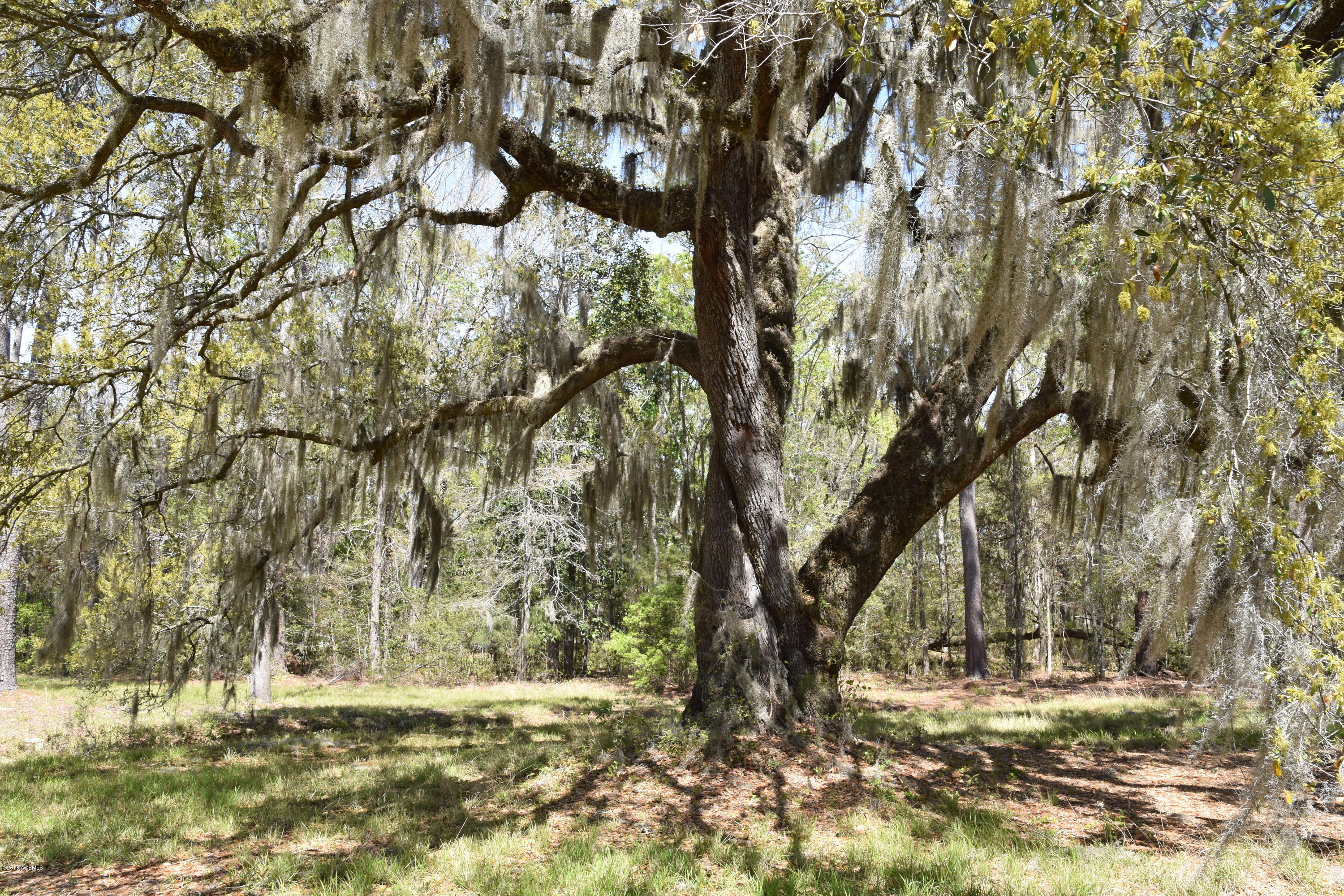64 Jasmine Hall Road Seabrook, SC 29940 - Photo 5 of 10 DSC_0543