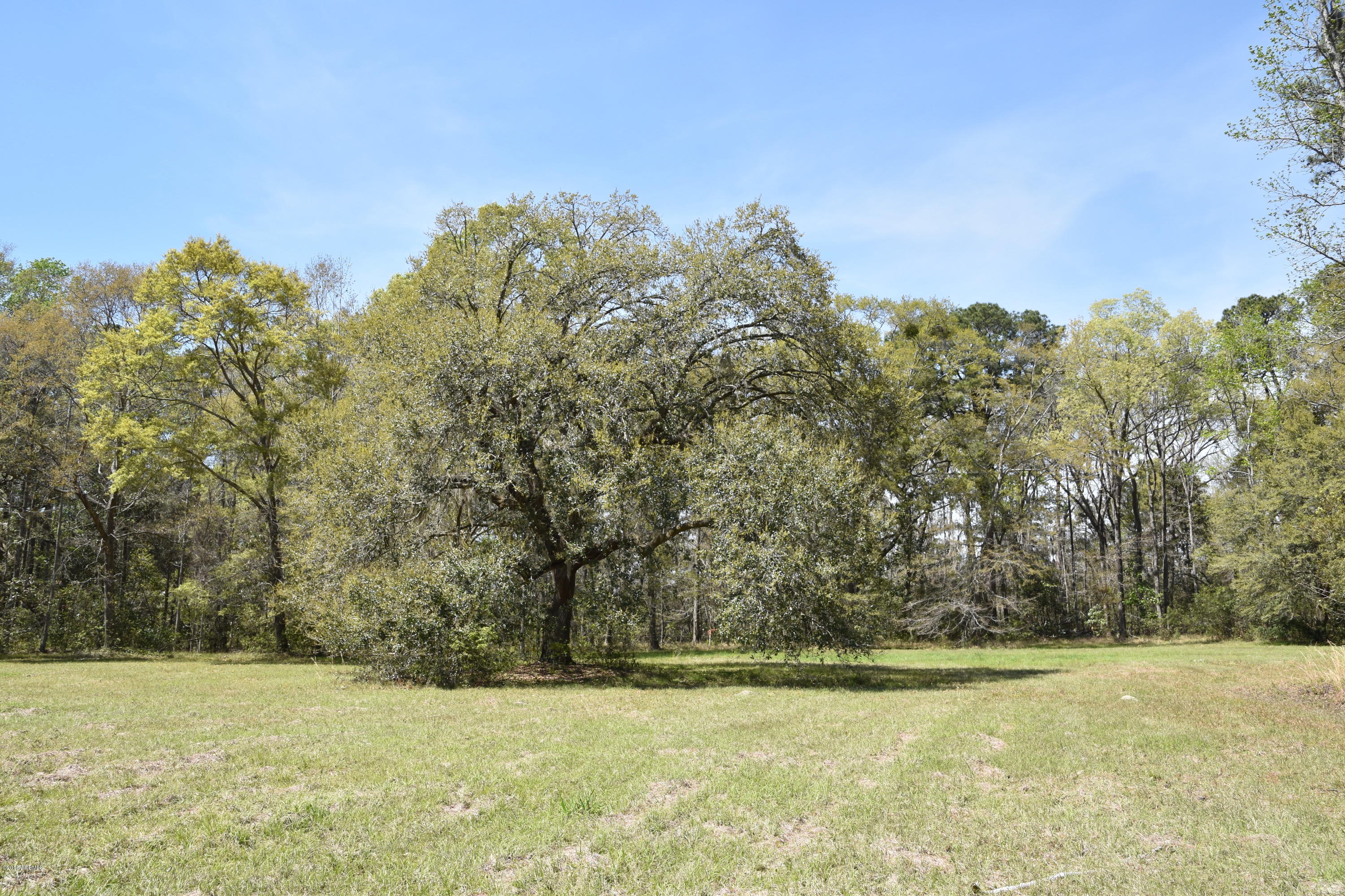 64 Jasmine Hall Road Seabrook, SC 29940 - Photo 6 of 10 DSC_0544