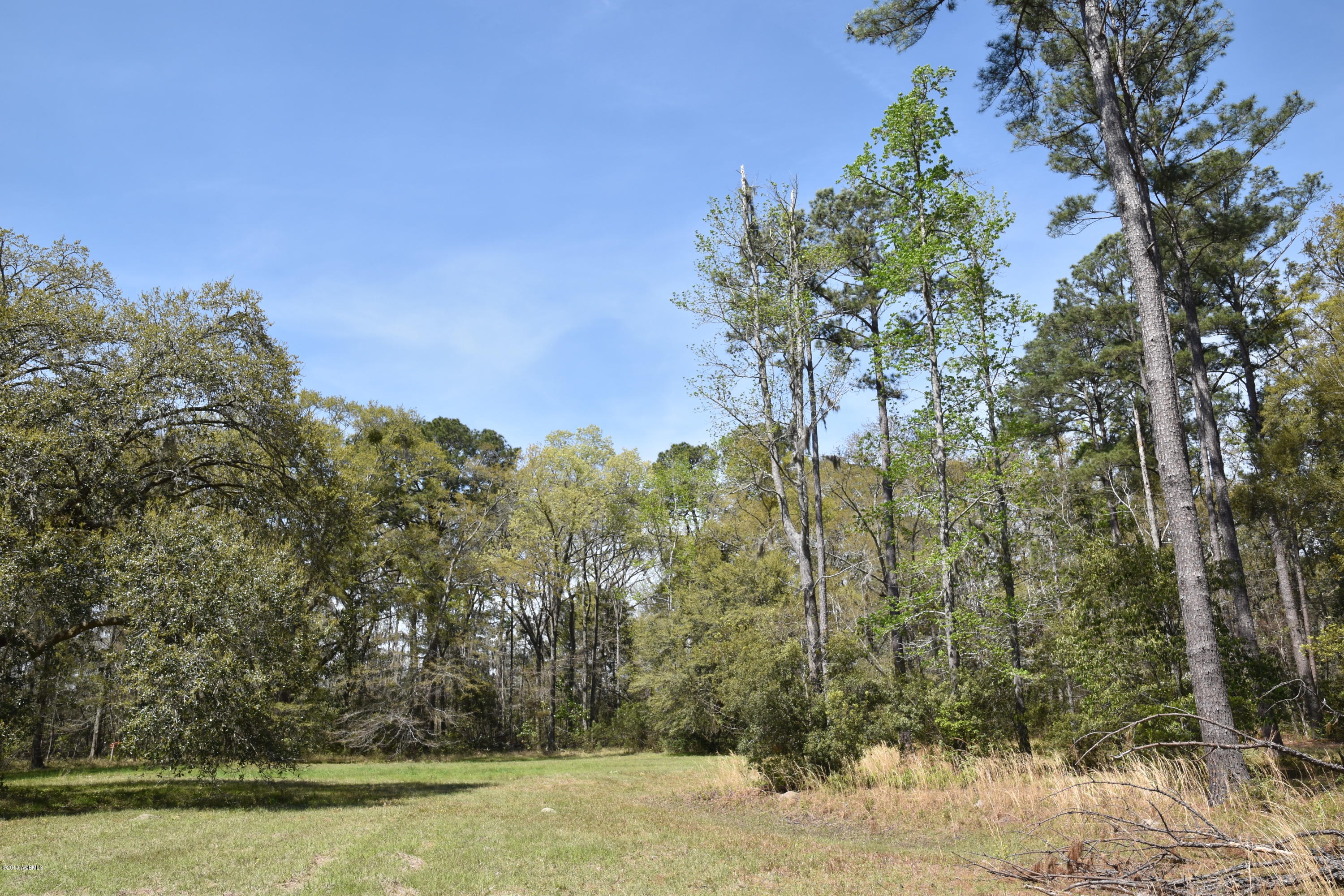 64 Jasmine Hall Road Seabrook, SC 29940 - Photo 8 of 10 DSC_0546