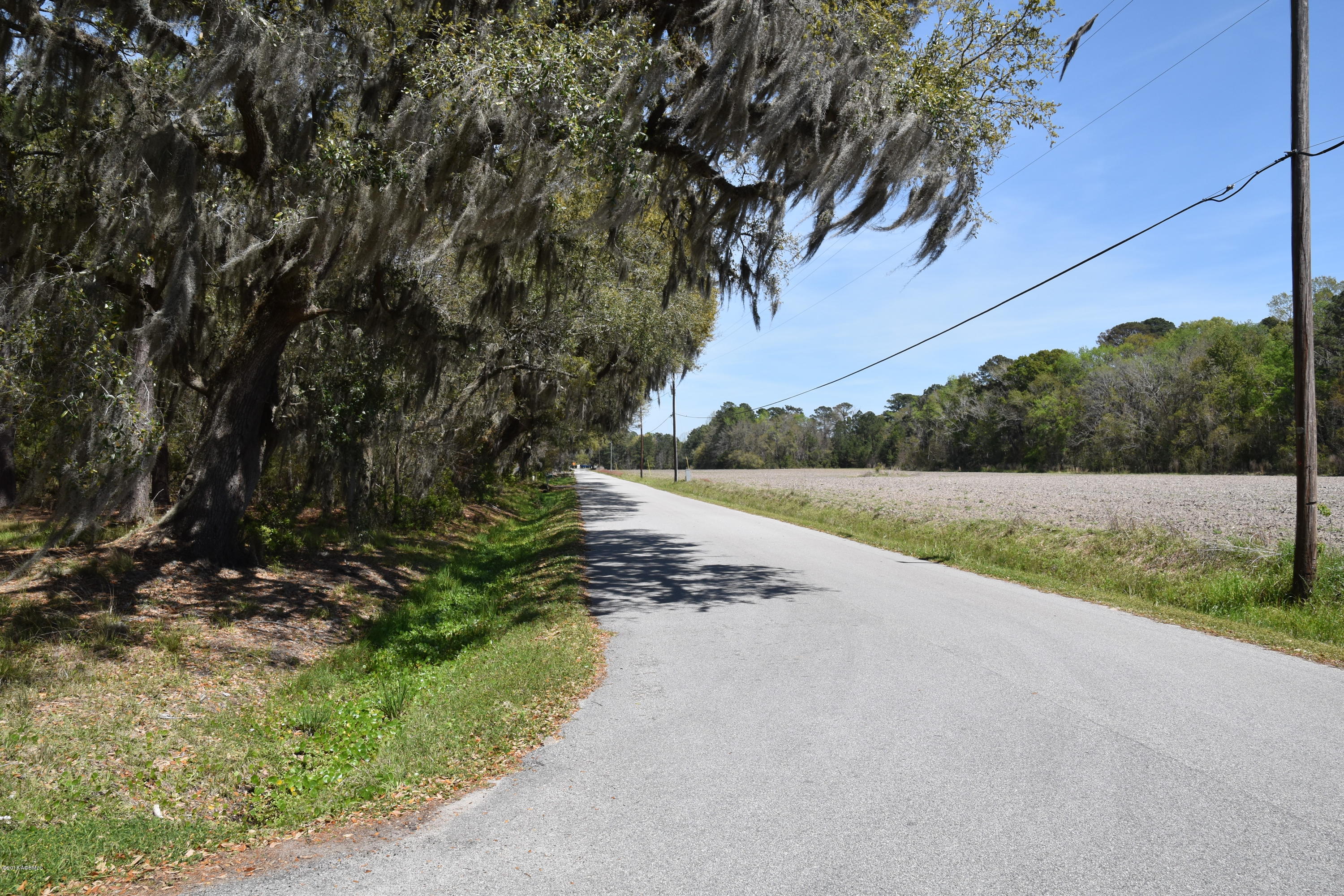 64 Jasmine Hall Road Seabrook, SC 29940 - Photo 10 of 10 DSC_0548