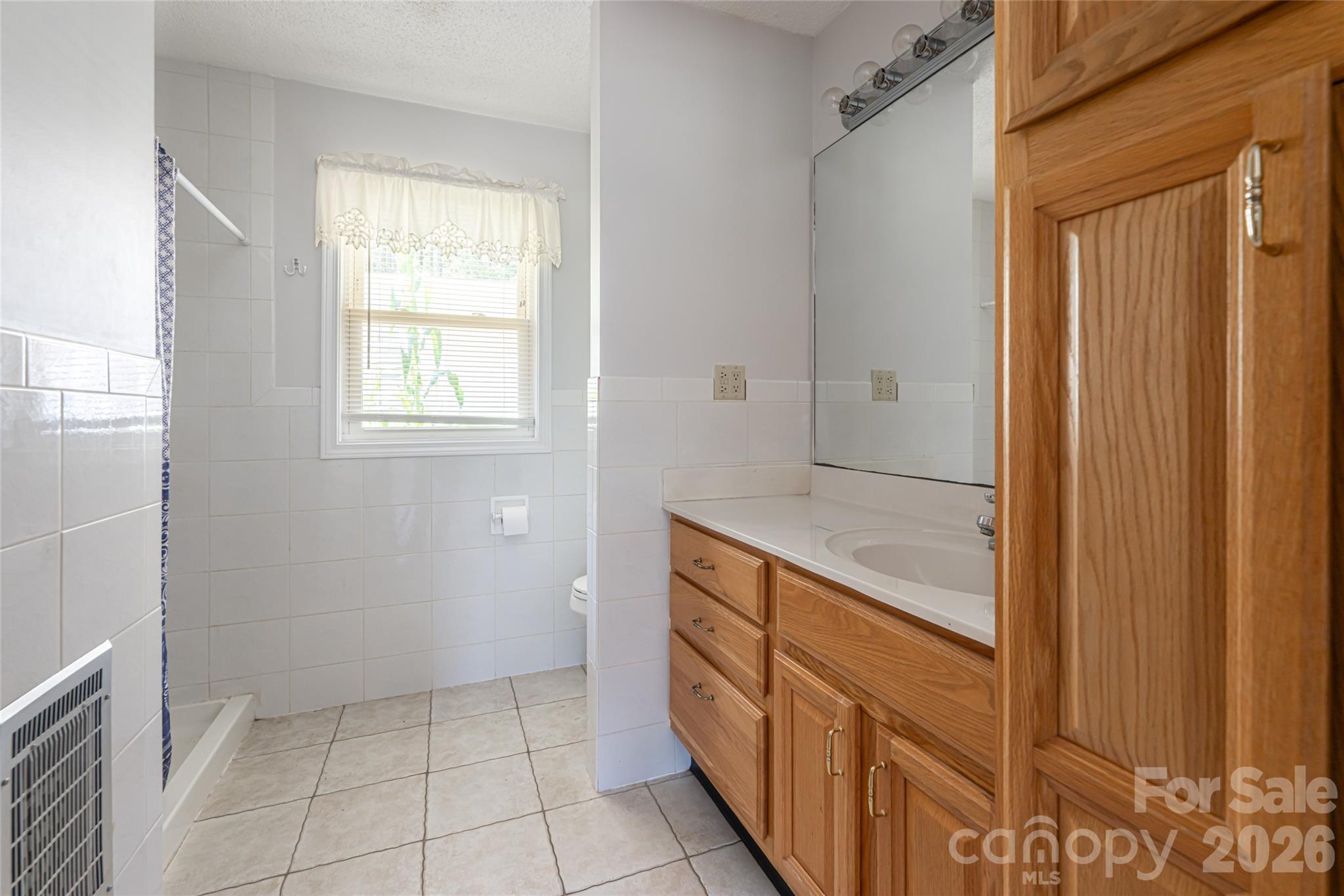 2800 Coxe Road Tryon, NC 28782 - Photo 12 of 40 a bathroom with a sink a mirror and a shower