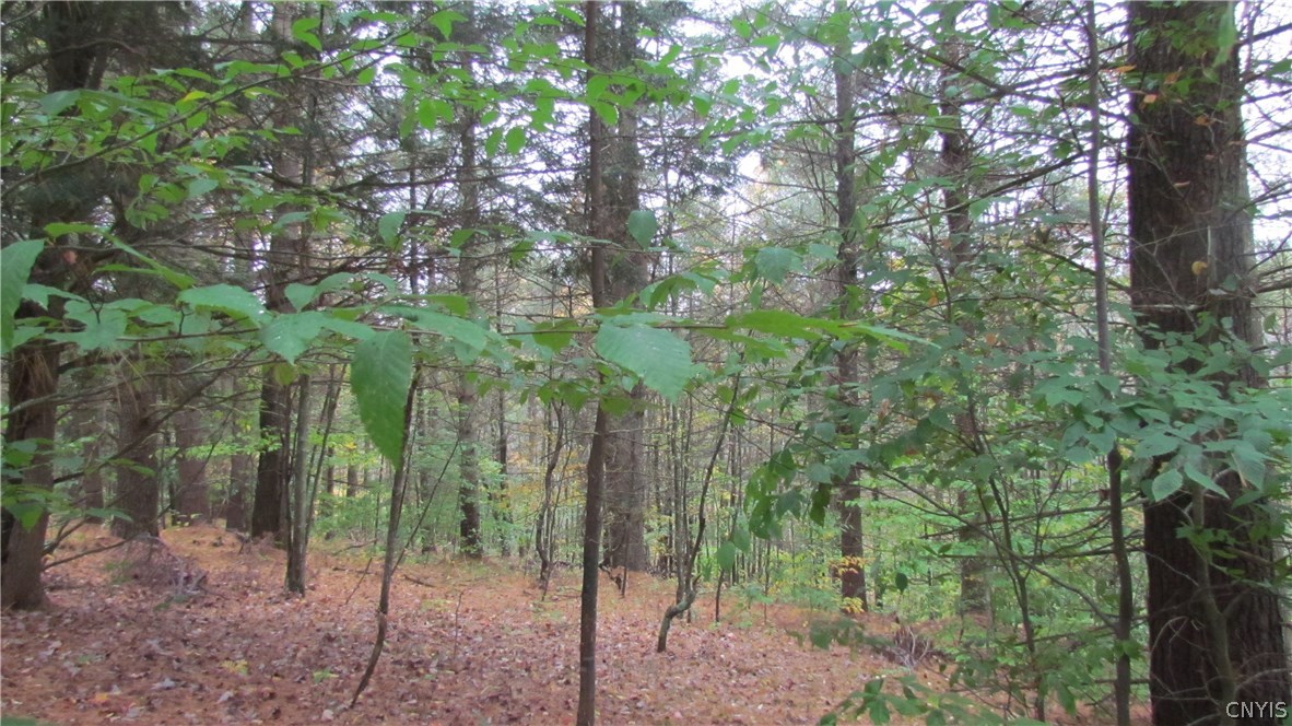 0 North To South Road Brantingham, NY 13312 - Photo 8 of 20 Gallery Image 8