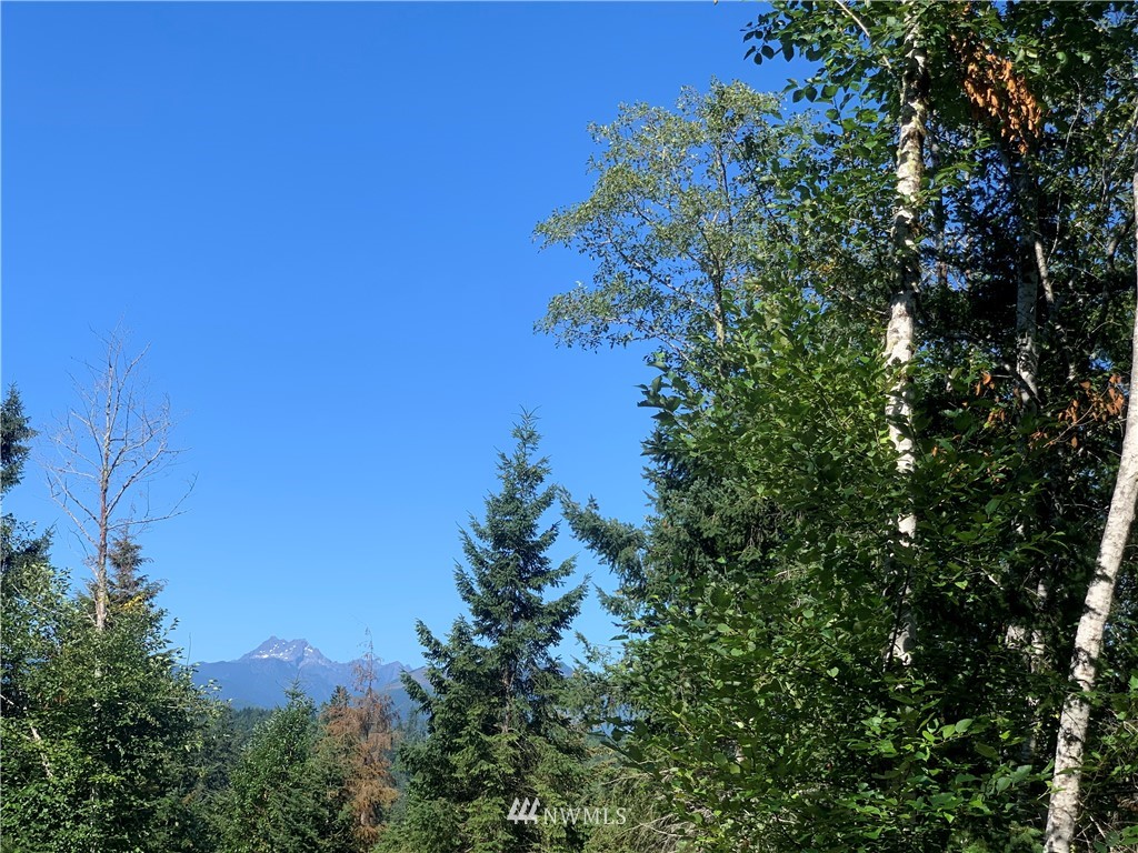 677 Hazel Point Road Quilcene, WA 98376 - Photo 3 of 21 Gallery Image 3