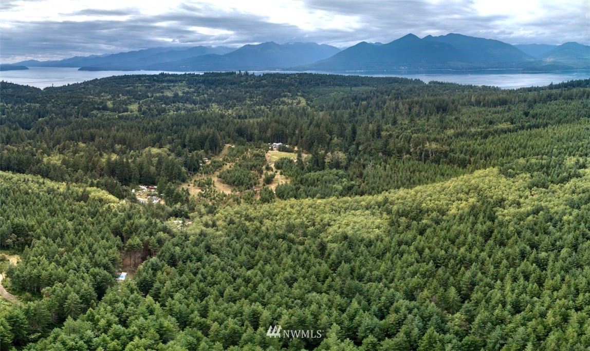 677 Hazel Point Road Quilcene, WA 98376 - Photo 8 of 21 Gallery Image 8