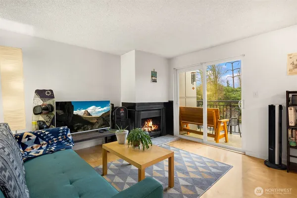a living room with furniture a flat screen tv and a fireplace