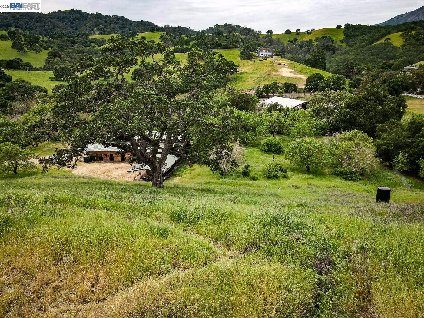 6115 Morgan Territory Road Clayton, CA 94517 - Photo 35 of 60 a view of a garden with an trees